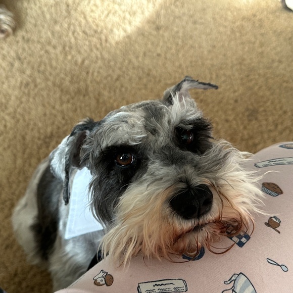 Meet your Posher, MaryJo - Picture 6 of 16